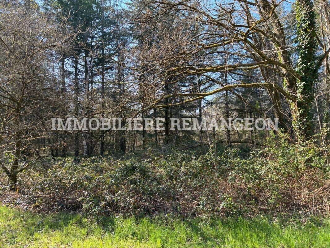 Maison à LAMOTTE-BEUVRON