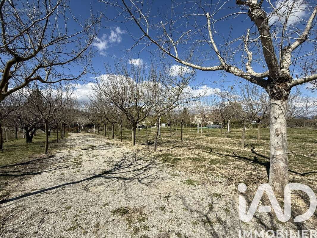 Photo 7 - Maison à MIRABEL-AUX-BARONNIES