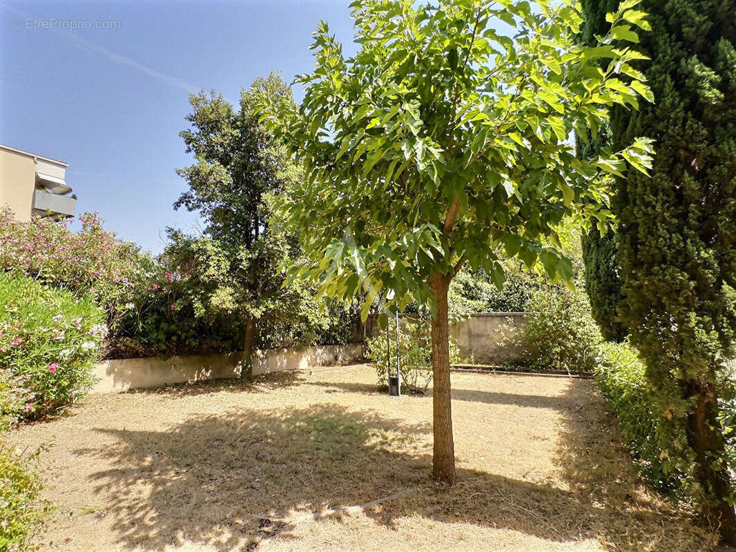 Appartement T3 - St Barnabé centre - 13012 - Rez de chaussée - jardin - photo 11