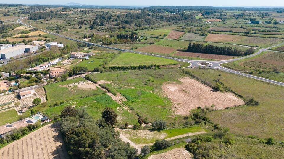 Photo Terrain à Montagnac au prix de 74 000€