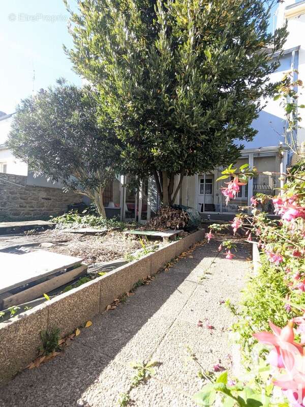 Photo 6 - Maison à LANESTER