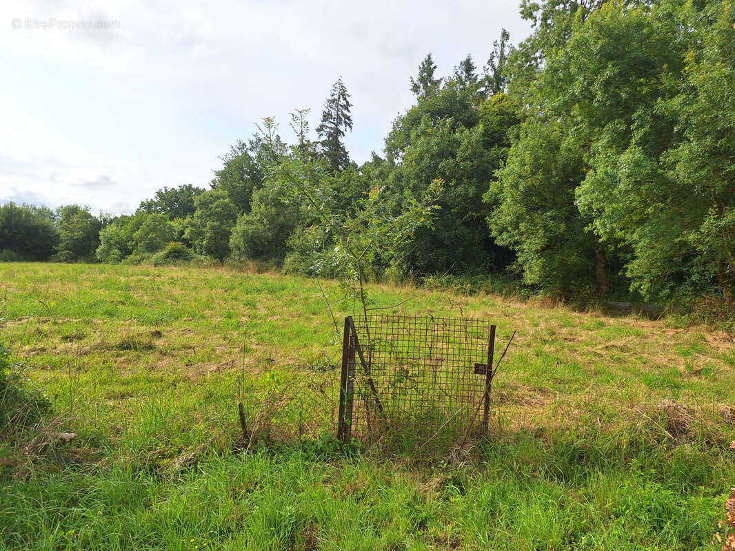 Maison à LA CHAPELLE-HEULIN