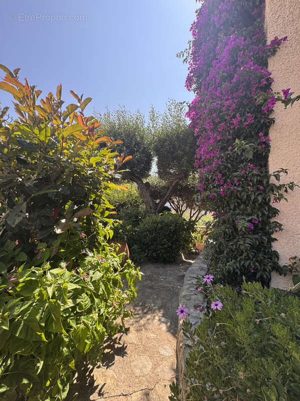 Maison à PORT-VENDRES