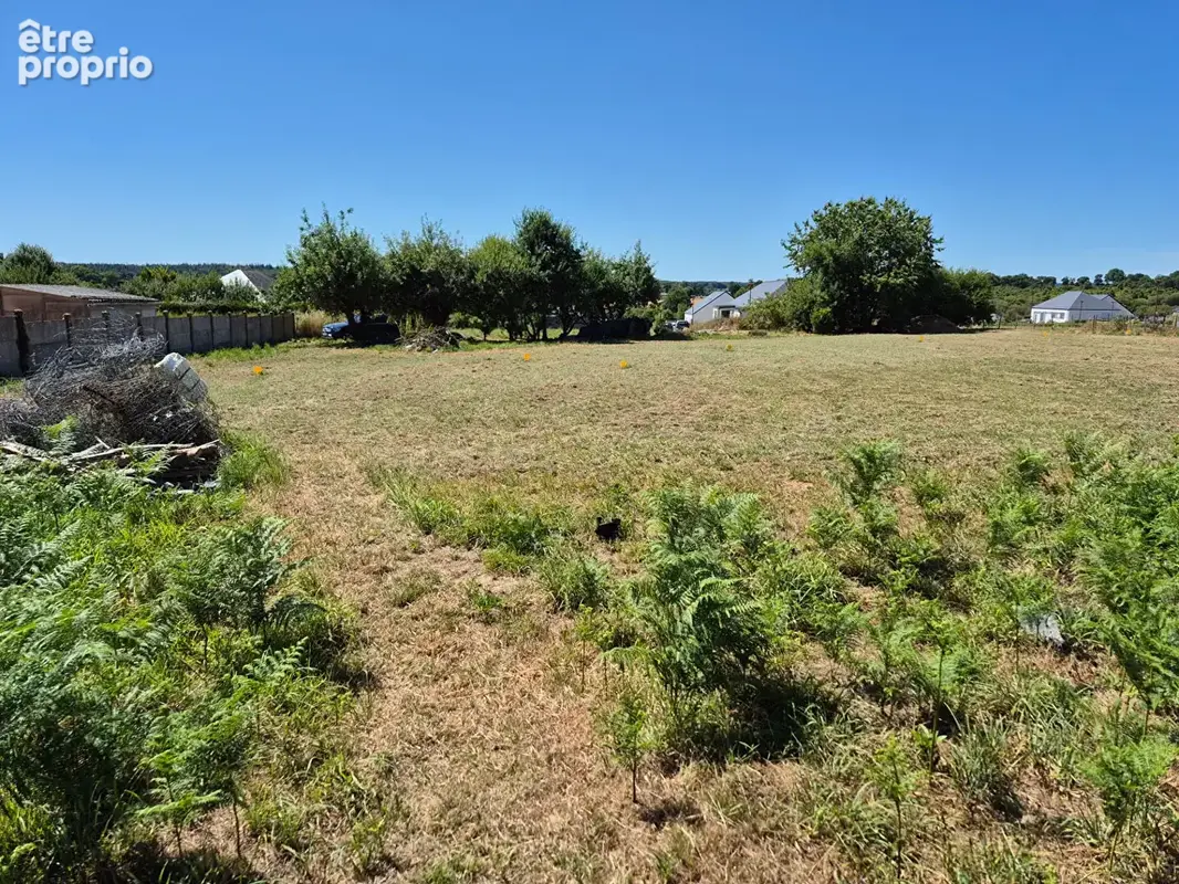 Terrain Mohon 2920 m2 - photo 4