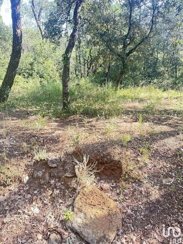 Photo 3 - Terrain à SUZE-LA-ROUSSE