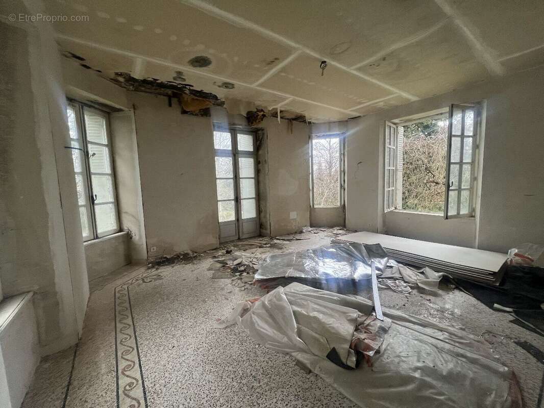 Château - Propriété de Caractere - photo 8