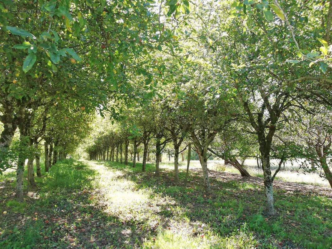 Domaine ferme auberge gîtes 30 pièce(s) 650 m2 - photo 16