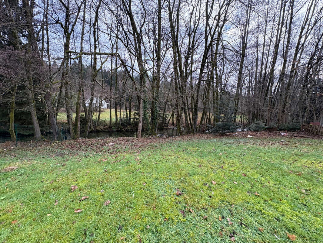 Maison à PLANCHER-BAS