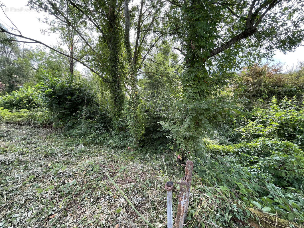 Terrain 1235 m² à Cours-La-Ville  - photo 6