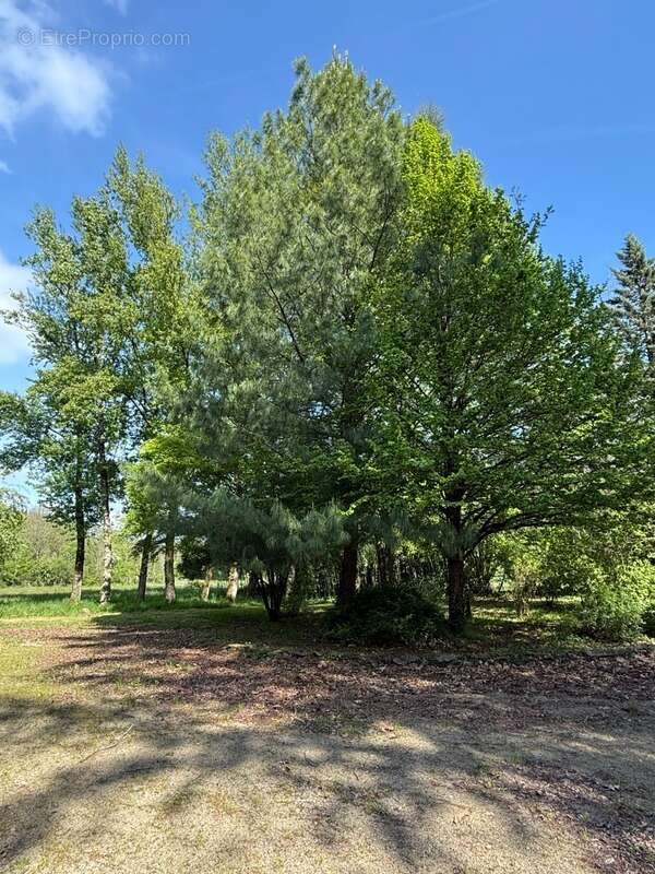 Maison à FRESSELINES