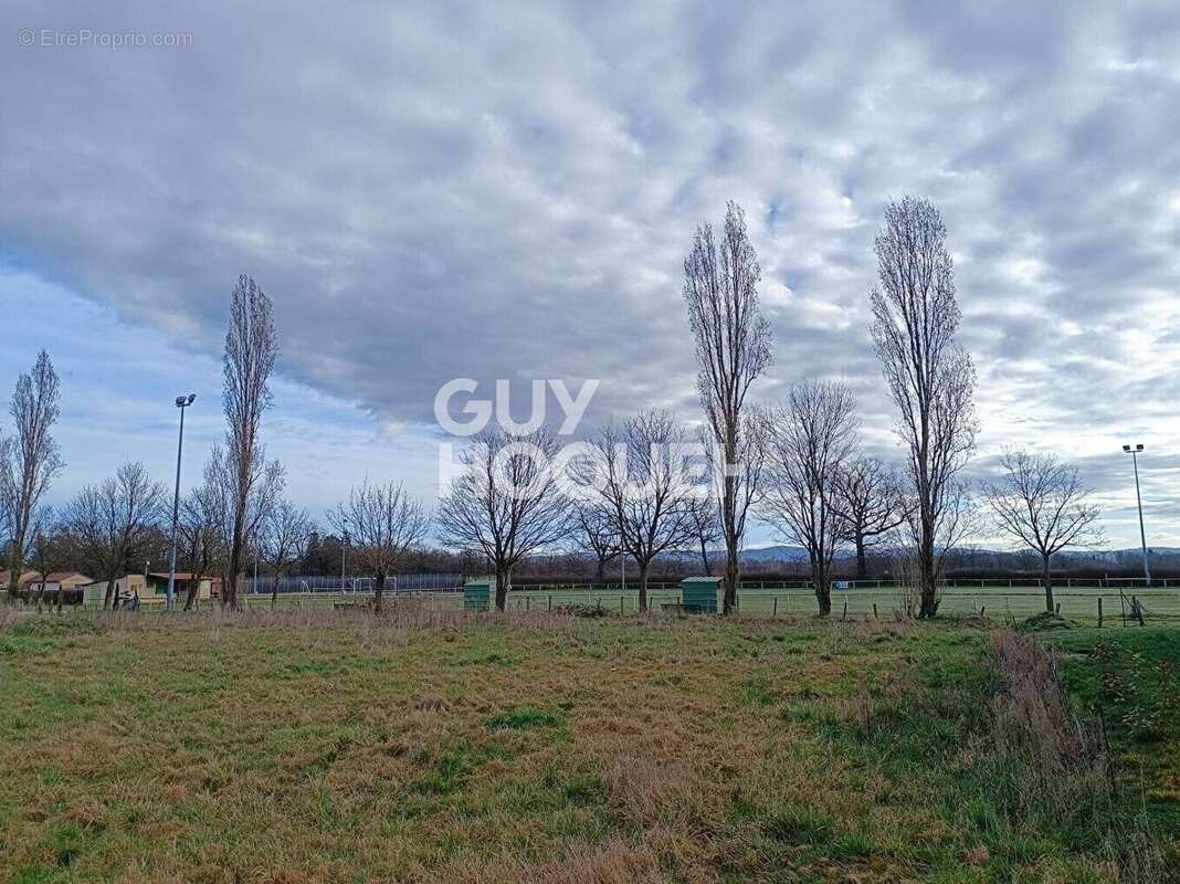 Terrain à SAINTE-FOY-SAINT-SULPICE