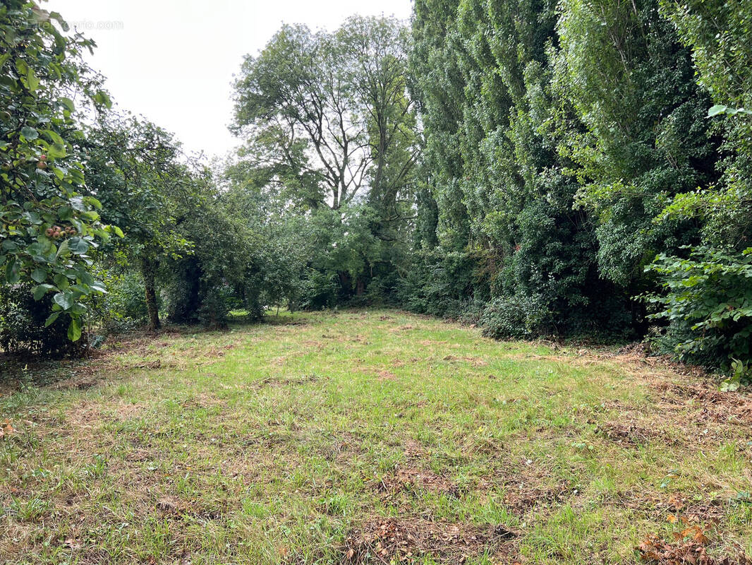 Terrain à FEUQUIERES-EN-VIMEU