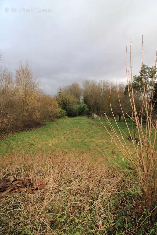 Terrain à VAYRES-SUR-ESSONNE