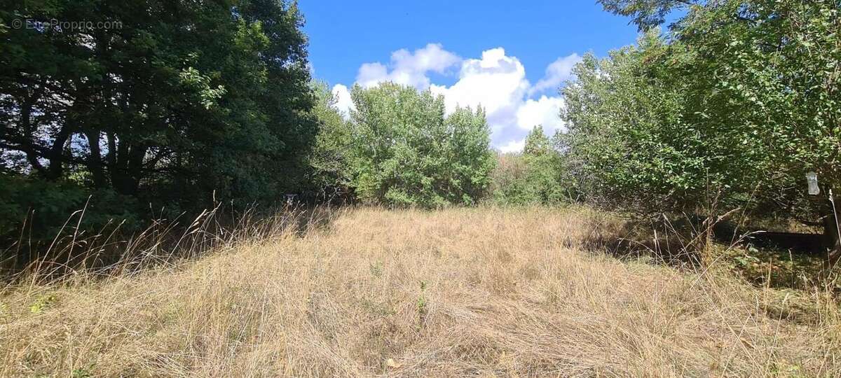 Photo 7 - Terrain à LA PEROUILLE