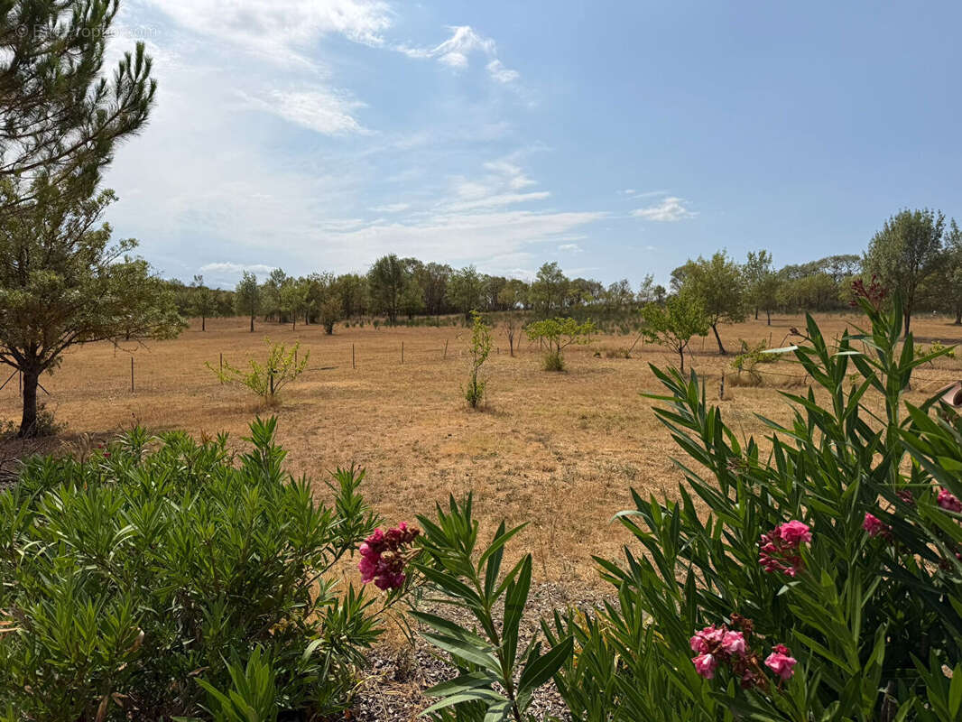 Maison de plain-pied avec piscine sur 3,65 hectares de terrain clos et arboré - photo 15