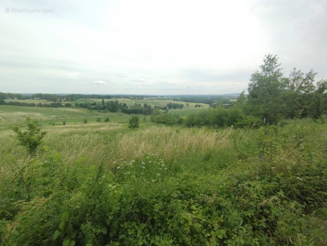 Terrain à PUYLAROQUE