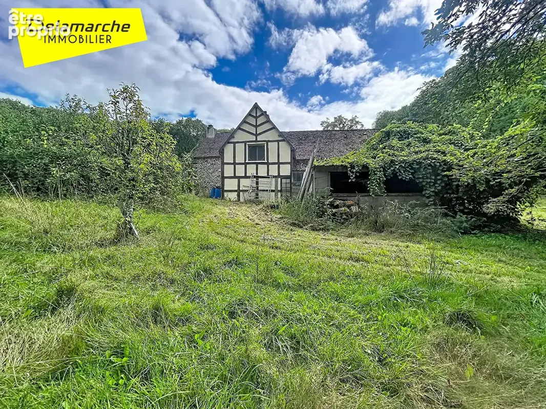 A VENDRE PROCHE BRECEY Maison de campagne atypique de 5 pièces 4257 m² de terrain dans un cadre plein de charme - photo 14