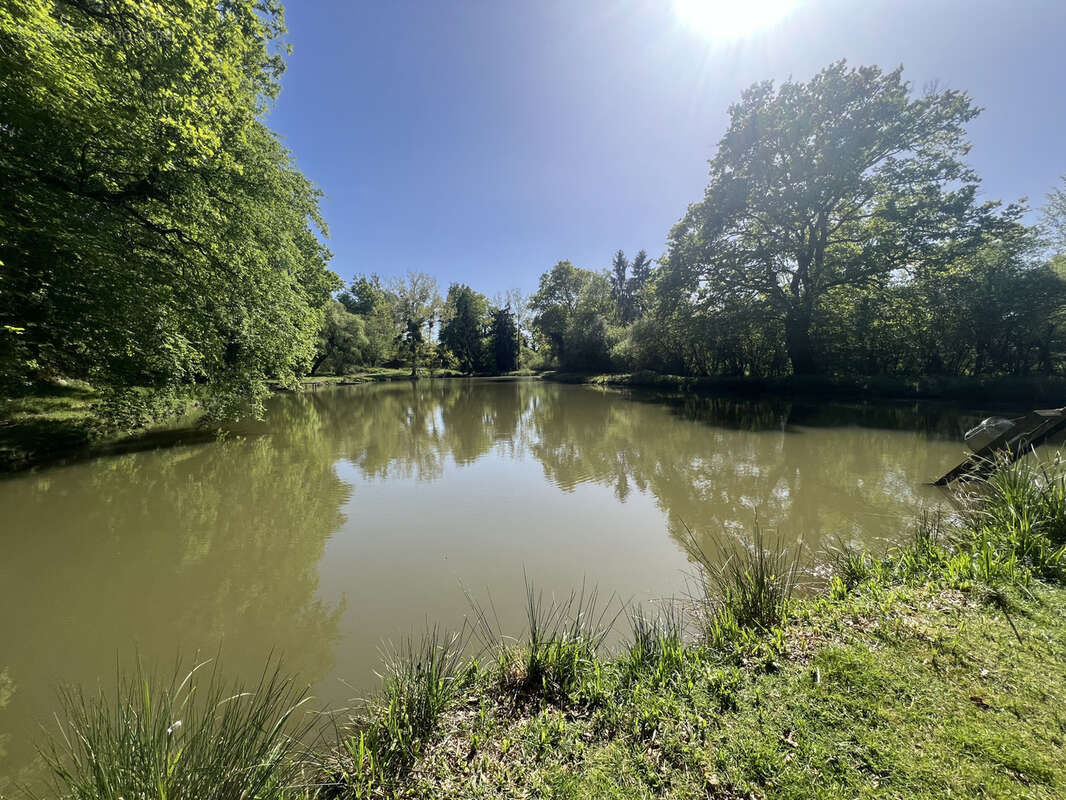 Etang avec terrain viabilise - photo 14