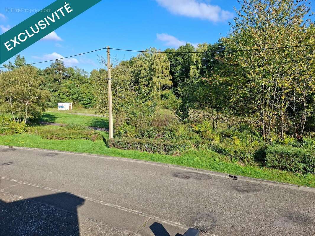 Photo 2 - Appartement à PETITE-ROSSELLE