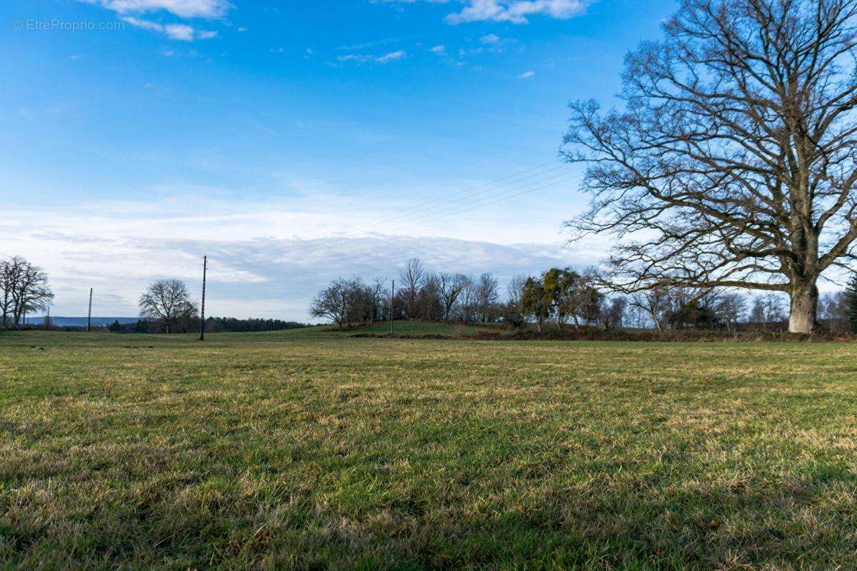 Maison à LUXEUIL-LES-BAINS