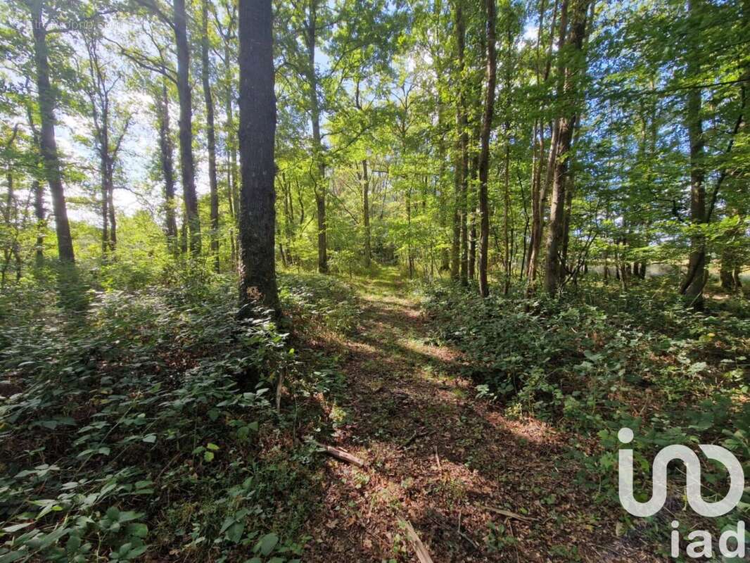 Photo 7 - Maison à MONTEREAU