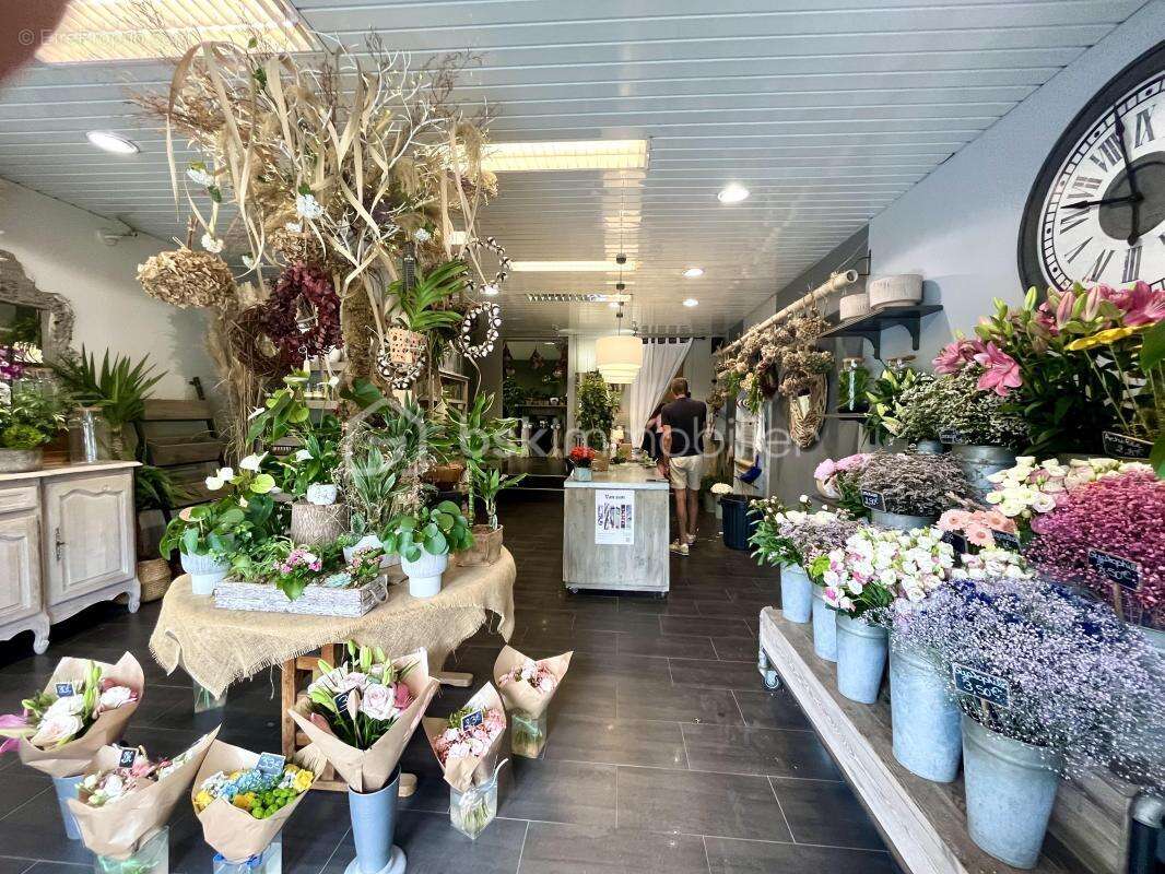 Commerce à SAINTE-ADRESSE