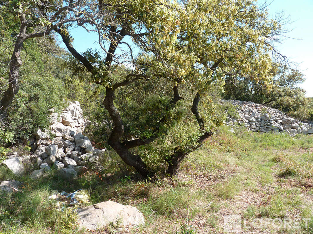 Terrain à POUSSAN
