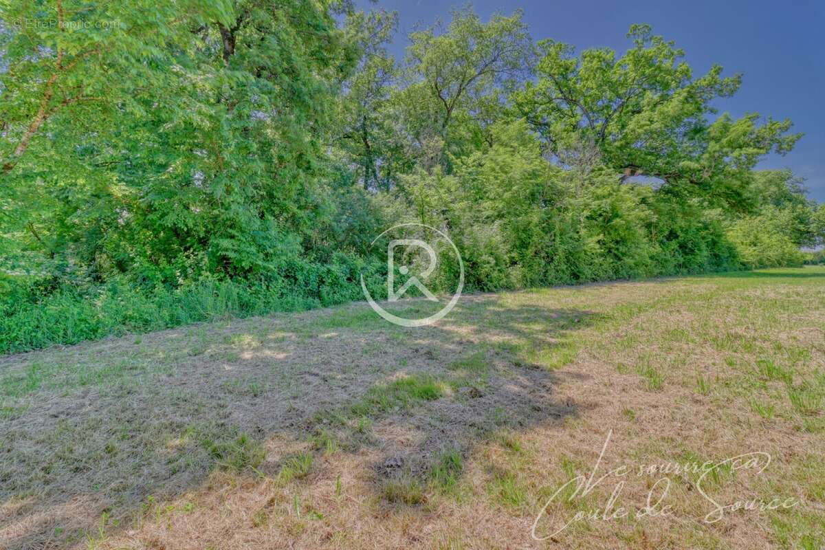 TERRAIN OCCITANIE - Terrain à SERIGNAC
