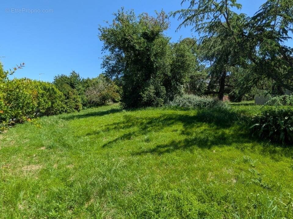 Terrain à VILLATE