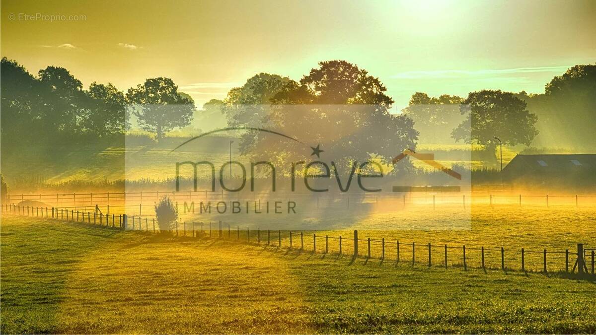 Terrain à SAINT-FIACRE-SUR-MAINE