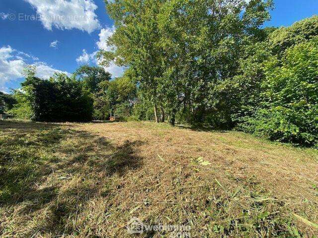 Terrain 1100 m² à Reaumur  - photo 23