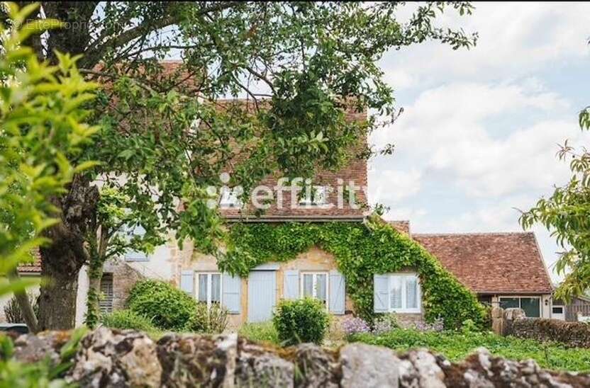 Locaux/Biens immobiliers - photo 3