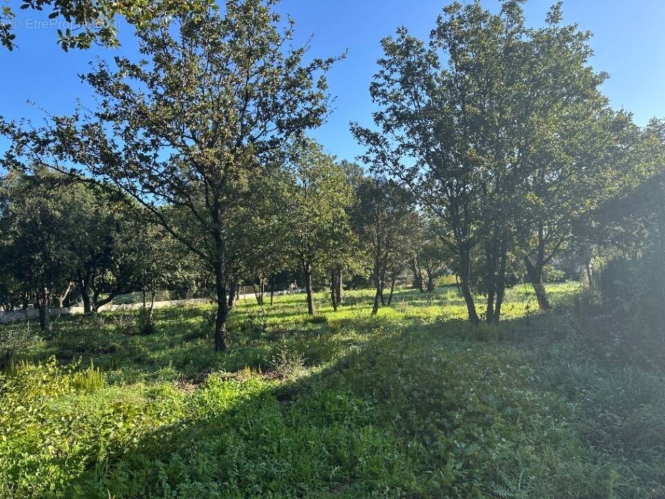 Terrain à PLAN-DE-LA-TOUR