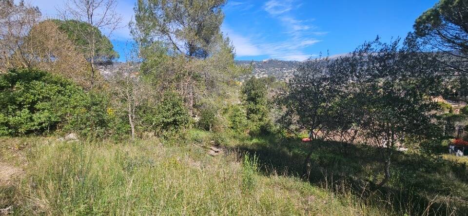 Terrain à PEYMEINADE