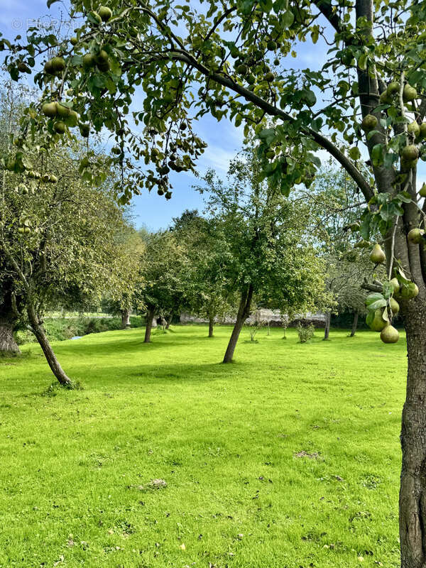 Maison à BACQUEVILLE-EN-CAUX