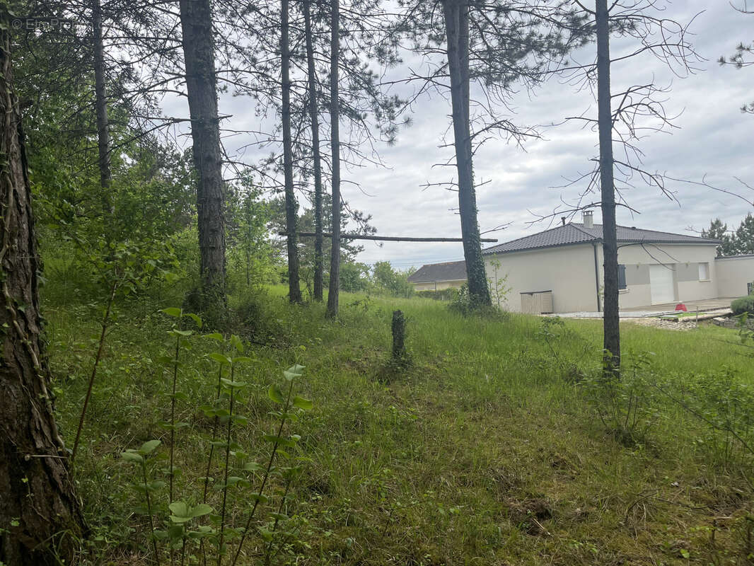 Terrain à BASSILLAC