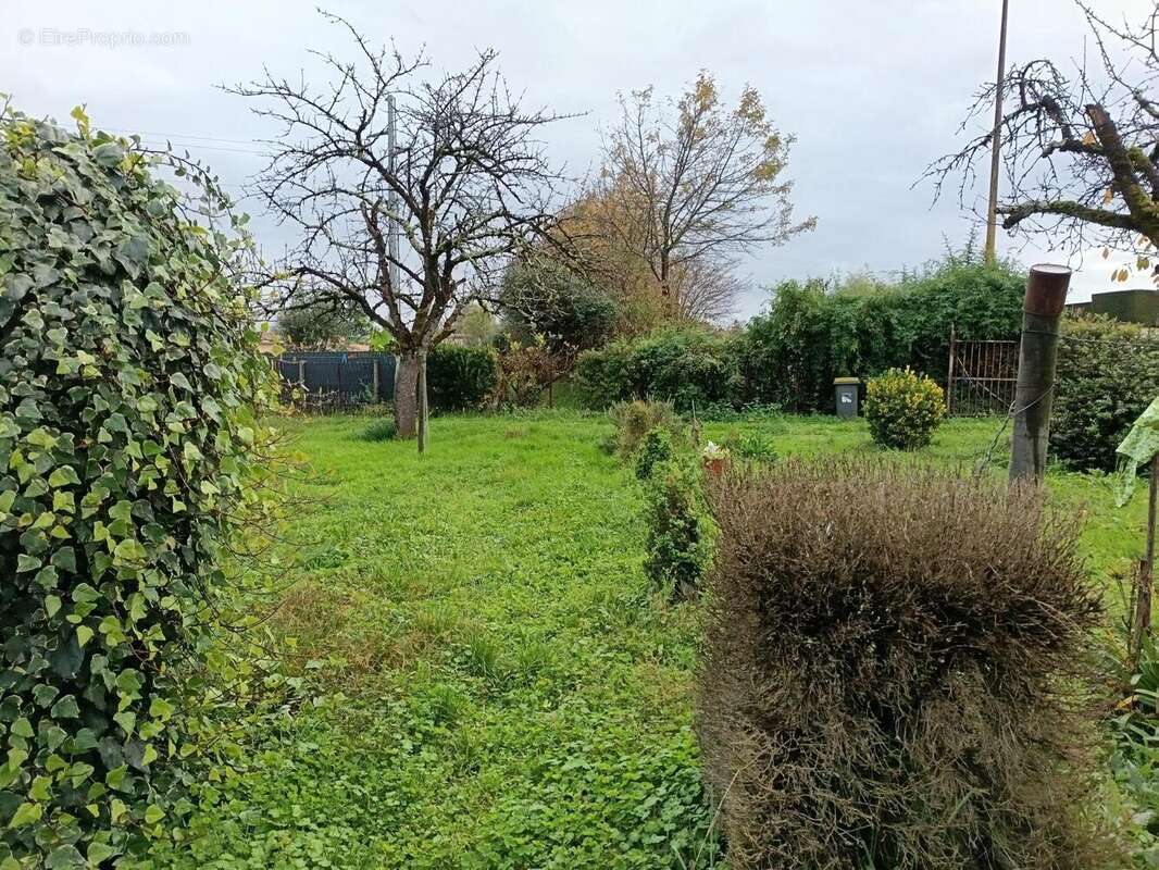 Photo 6 - Maison à COGNAC