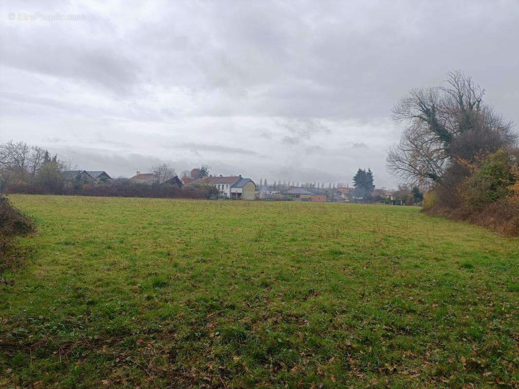 Terrain à BORDERES-SUR-L'ECHEZ