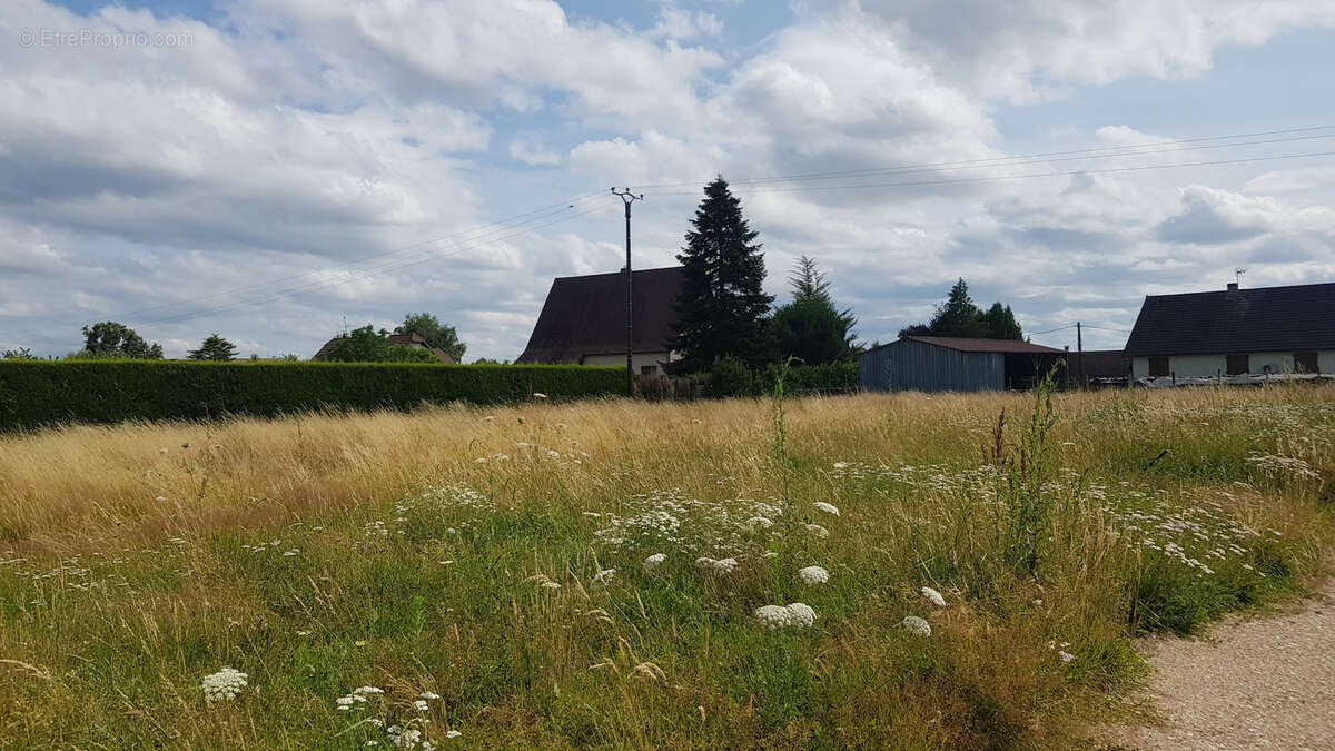 Terrain à L'ABERGEMENT-SAINTE-COLOMBE