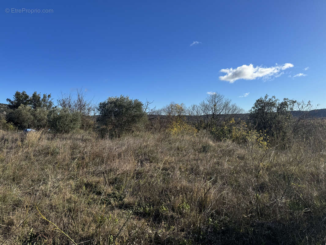 Terrain à SAINT-JEAN-DE-FOS