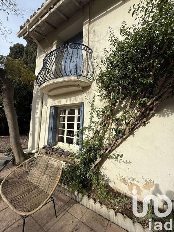 Photo 8 - Maison à VILLELONGUE-DE-LA-SALANQUE