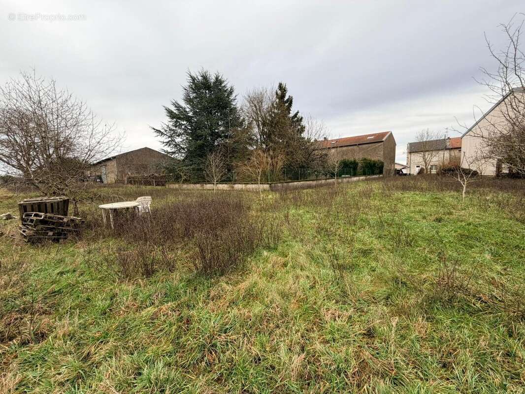 Terrain à VIEVILLE-EN-HAYE
