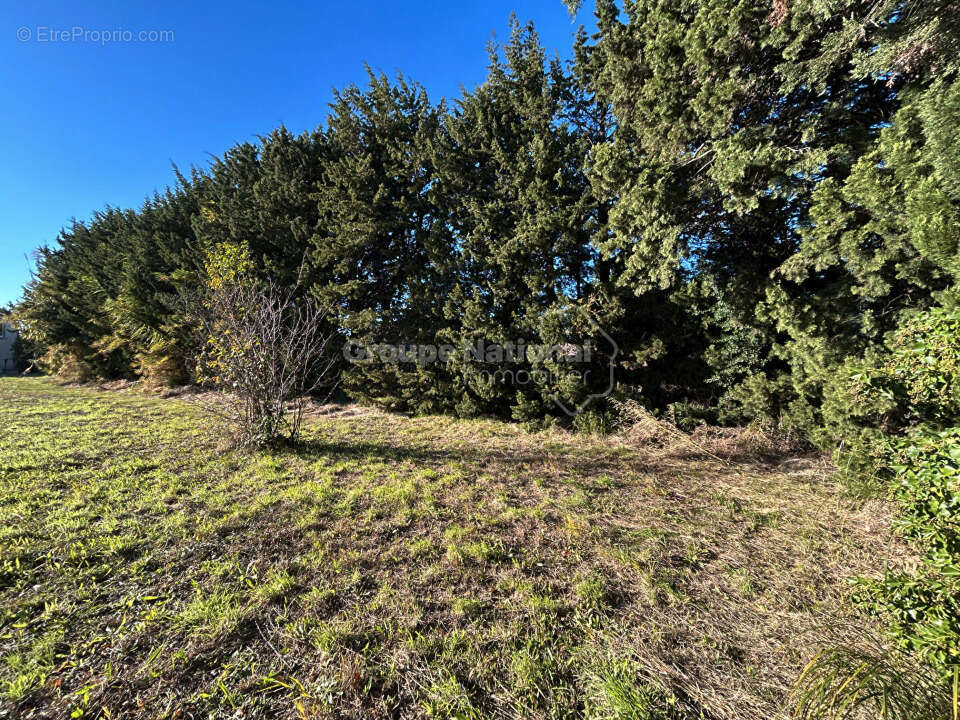 Terrain à VILLENEUVE-LES-AVIGNON