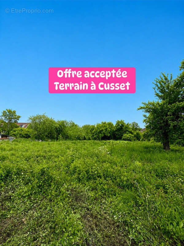 Terrain à CUSSET