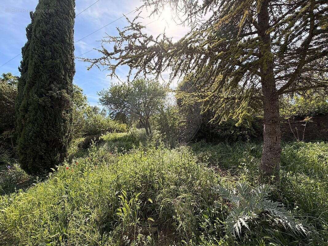 Terrain à CABRIERES-D'AVIGNON