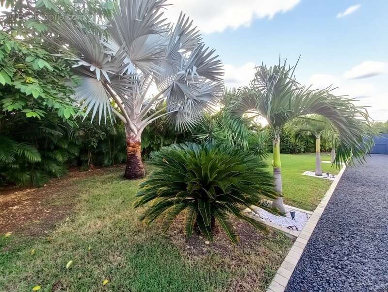 Maison à SAINT-FRANCOIS