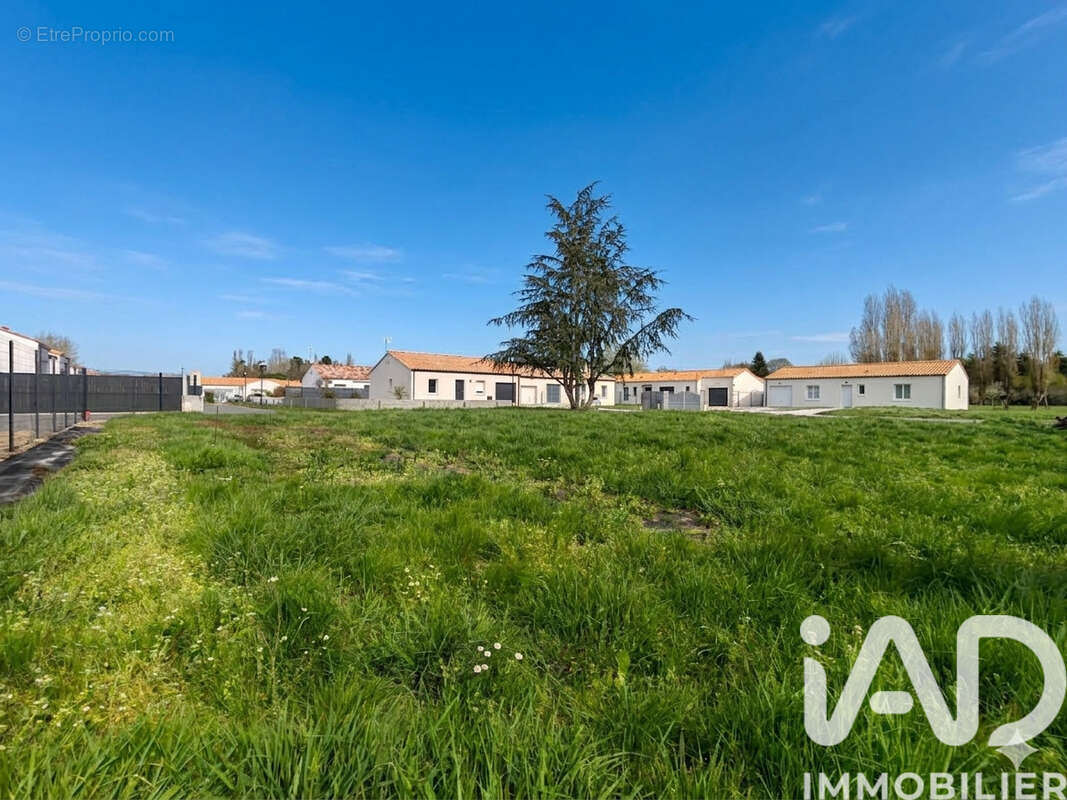 Photo 2 - Terrain à BEAUVOIR-SUR-MER