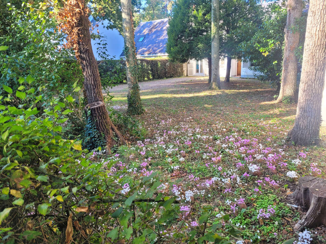 Maison à SAINT-AVERTIN