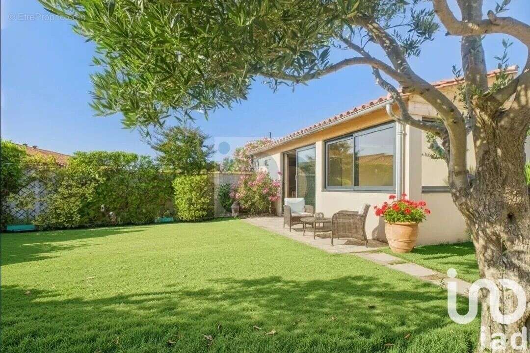 Photo 3 - Maison à SAINTE-MARIE-DE-RE