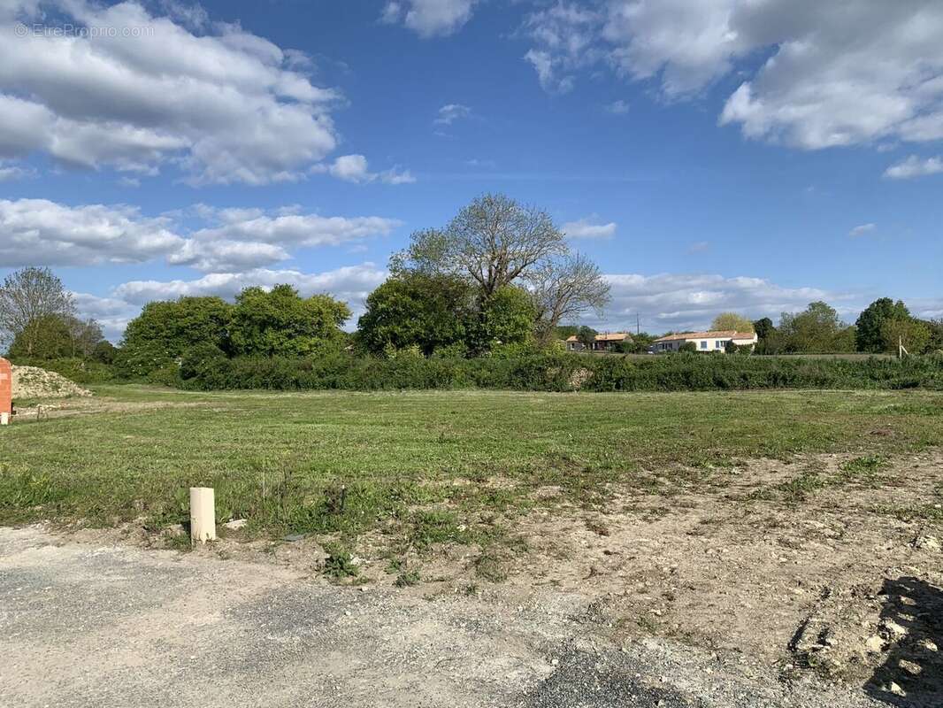 Terrain à LOIRE-LES-MARAIS